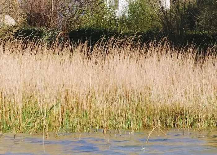 La Casita De La Bahia Hébergement de vacances *